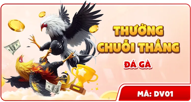 THƯỞNG CHUỖI THẮNG ĐÁ GÀ — MB66