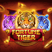 Fortune Tiger